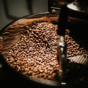 shallow focus photo of coffee beans